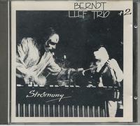 Luef,Berndt Trio - Stroemung