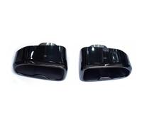 LUEVYM Pieza De Coche 1 Par para BMW X3 X4 G01 G02 G08 2018-2021 Tubo De Escape Mejorado Boquilla De Punta Cuadrada Silenciador De Acero Inoxidable Cabezal De Escape(Black)