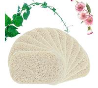 Luffa - Juego de 12 piezas (7,5 x 11 cm, Luffa Swam, Soap Shell Socon Solder, accesorios para limpieza de platos, pelado para ducha/baño, cocina, encimera, color beige