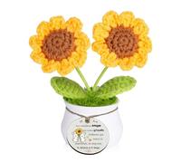 LUFLQQAE Amigas Amistad Regalo Maceta de Girasol a Crochet Positivo Agradecimiento Inspirador Mujeres Hombres Mejor Amigo Cumpleaños Graduación Hecho a Mano Tejido Navidad Jubilación Adornos (Amiga)