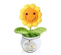 LUFLQQAE Amigas Amistad Regalo Maceta de Girasol a Crochet Positivo Agradecimiento Inspirador Mujeres Compañeras de Trabajo Cumpleaños Colega Amiga Hecho a Mano Tejido Navidad Jubilación Adornos