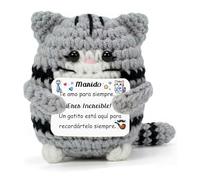 LUFLQQAE Graduación Regalos Gato Lindo Hijo Amigo Ganchillo Apoyo Emocional Cumpleaños Día Padre Tío Padrino Abuelo Papá Hombre Hecho a Mano Apreciación Recuerdo Nieto Hermano Primo Sobrino (Marido)