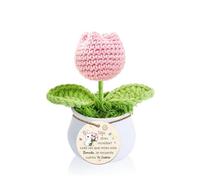 LUFLQQAE Hija Regalo de Graduación para Ganchillo Tulipán Rrosa Maceta Cumpleaños Inspirador Mi Niña Flor Hecha A Mano Tejida Mujer Navidad Apreciar Entrar Nuevo Trabajo Decoración del Hogar Adornos