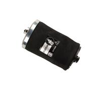 Luftfeder Amortiguador Trasero Izquierda BILSTEIN Para BMW X5