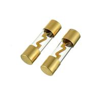 Luftschloss AGU Fusible 60A 2 unidades 60 Amp AGU 10 x 38 mm Auto Audio Power Protection Fusibles Tubo de Cristal Recargas 12V-48V para Automoción