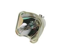 LUhvSW Accesorio de lámpara E190 LMP-E190 for proyectores VPL-BW5, VPL-ES5, VPL-EW5, VPL-EX5 y VPL-EX50(LMP-E190-CB)