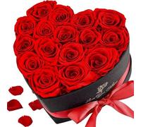 LuJasi Rosa Eterna,16 Rosas Eternas Cubo de Corazón Rosa Rojo Mejor Regalo para Novia, Mujer, Madre Cumpleaños Aniversario San Valentín