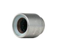 LuK 410001510 Cojinete Guía Embrague