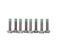 Luk 411 0118 11 Bloque de Motor