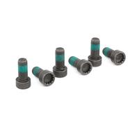 LuK 411 0133 10 JKuego tornillos, volante