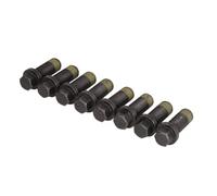 Luk 411 0196 10 Bloque de Motor