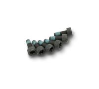 LuK 411 0247 10 JKuego tornillos, volante