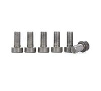 LUK Juego tornillos, volante para BMW: SÃ©rie 3, SÃ©rie 5, SÃ©rie 1, X1, X3, SÃ©rie 4, Z4, SÃ©rie 6, SÃ©rie 2, M2, M4, M3 (Ref: 411 0256 10)