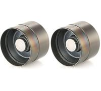 LUK Ina 420 0209 10 - Empujador de válvula, 1 unidad (Paquete de 2)