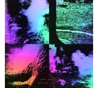 Luke Abbott - Wysing Forest (180 Gr) [Vinilo]