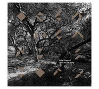 Luke Howard - Open Heart Story