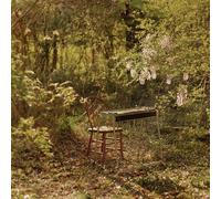 Luke Schneider - For Dancing In Quiet Light [VINYL] [Vinilo]