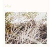 Luke Temple - A Hand Through The Celar Door [Vinilo]