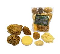 Lullingworth Esponjas naturales de mar y sintéticas, varios tamaños, paquete económico de 7 piezas para manualidades y artistas: ideal para pintura, textura acrílica, pasatiempos, arte, efectos