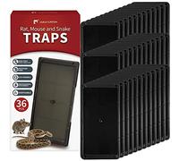 LULUCATCH Juego de 36 trampas para ratones y serpientes, más grandes y pesadas con pegamento no tóxico. Trampas adhesivas para ratones en interiores, fáciles de instalar, seguras para niños y mascotas