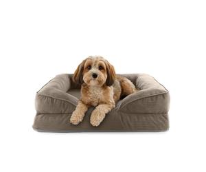 Lumaland Cama ortopédica para Perros de Pana | Sofá ergonómico para Perros pequeños | Base Antideslizante | Relleno y Funda Lavable | Cesta para Perros con Espuma viscoelástica