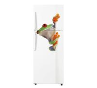 Lumalea 3617681907718 - Adhesivo + Protector Mate - 65 x 160 cm - Ideal para nevera 55 x 160 cm