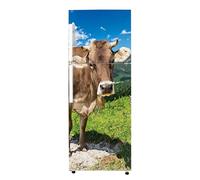 Lumalea 3617681982371 - Adhesivo + Protector Mate - 65 x 160 cm - Ideal para nevera 55 x 160 cm