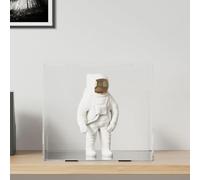 Lumanois Caja expositora Transparente 40x36x35 cm acrílico, Economía e Industria Venta al por Menor Mostradores, Transparente, 3.3kg