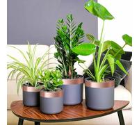 Lumanois Cinta de Cobre 6 pcs Cobre 2000 x 5 cm Cobre,Casa y jardín,Jardín,Jardinería,Control de Enfermedades,2.2kg-42008347