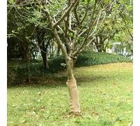 Lumanois Rollo de Yute 0,5x5 m 100% Yute 200 g/m², Casa y jardín Decoración, Natural, 0.71kg