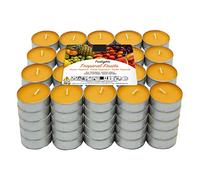 Lumar Aromatic Velas de té aromáticas (Tropical Fruit 100 Velas)