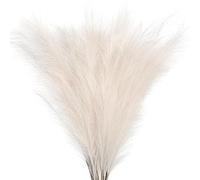 LuminaCreek Hierba de la Pampa Grande, 10 Piezas, caña, Hierba de la Pampa, simulación, decoración esponjosa, Flor, Planta Falsa, Ramo, Fondo for el hogar(S3)