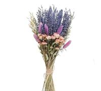 LuminaCreek Hierba de la Pampa Grande, decoración de Hierba de la Pampa, Ramos de Dama de Honor, Flores de Lavanda secas for Bodas, arreglos Naturales de Colas de Conejo secas(A)