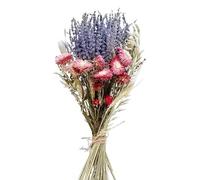 LuminaCreek Hierba de la Pampa Grande, decoración de Hierba de la Pampa, Ramos de Dama de Honor, Flores de Lavanda secas for Bodas, arreglos Naturales de Colas de Conejo secas(B)