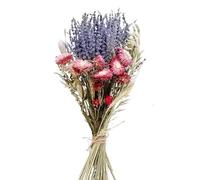 LuminaCreek Ramos de Boda de Flores Grandes de Lavanda Seca de Hierba de la Pampa, Colas de Conejo secas Naturales, decoración de Hierba de la Pampa, arreglos for Damas de Honor(B)