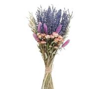 LuminaCreek Ramos de Boda de Flores Grandes de Lavanda Seca de Hierba de la Pampa, Colas de Conejo secas Naturales, decoración de Hierba de la Pampa, arreglos for Damas de Honor(A)