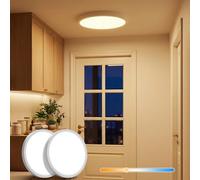 LuminexDesigns 2ER LED Plafón Plano 22cm, 18W Pequeña Lámpara Techo con Temperatura Regulable 2700K-6500K mediante Interruptor DIP, Redonda, Estanca IP44 para Pasillo, Entrada, Baño