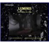 Luminis-das Schwert Des Lichts (ebook)