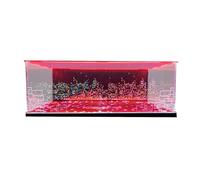 Luminous Display Case Compatible with Lego 76419 Castle, UV Protection,Dustproof for Models, Storage Cabinet, Transparent Box,Collectibles and (Display Case Only) (A)