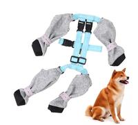 Lumiscent Paw Dog Boot Leggings - Calzas para perro | Botas de perro Protector de patas | Zapatos para perro a prueba de suciedad | Anticaída para perros pequeños, medianos y grandes