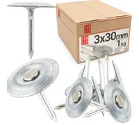 Lun Fix Clavos de techo con arandela 3,0 x 30 mm, 1 kg, clavos galvanizados de fieltro para techos con disco, clavos de acero, clavos para peines, para materiales de techado, tejas asfálticas