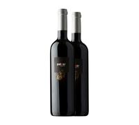 Luna Beberide Paixar Mencía Bierzo 75 cl Vino tinto (Caja de 2 Botellas de 75 cl)