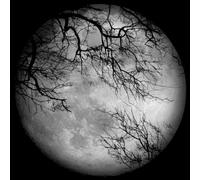 LUNA SEA - Luna Sea [+Bonus Dvd]