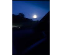 Lunacies, Poetry, And My License To Be Free (A Series Of Poems Are Now Afoot)