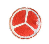 Lunaobrik Alfombrilla de refrigeración para Mascotas, Alfombrilla de refrigeración para Perros - Cómodo Sensor de Agua -Pad - Bonito patrón de Frutas - Cojín para Dormir para Perros y