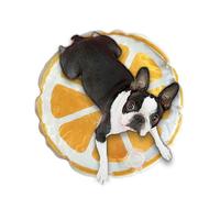 Lunaobrik Alfombrilla de refrigeración para Perros, Bonita Almohadilla sensorial de Agua para Cachorros, Plegable, a Prueba de Fugas, para Perros y Gatos con patrón de Frutas