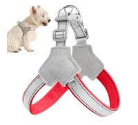 Lunaobrik Arnés para Mascotas Reflexivo, Chaleco para Caminar de Perro, Arnés de Perro en Forma de Y sin Tracción Clip Reflectante, Accesorios de Entrenamiento de Pie de Caminar