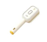 Lunaobrik Dampfbürste | Kabelloser Kopfhaut-Massagekamm,Elektrische Nebel-Sprühbürste,für Die Verwendung In Badezimmern, Schlafzimmern, Zu Hause, Im Salon, Auf Reisen, Im Hotel Und Für Frauen