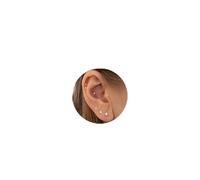 LunarCharm 12 Piezas 18G Pequeños Pendientes de CZ, Aretes Color Plata con Respaldo Plano, Piercing de Tragus sin Rosca, Aretes para Concha, Hélix y Nariz