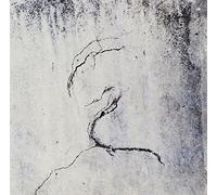 Lunatic Soul - Impressions [Vinilo]